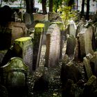 Friedhof Prag 2