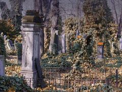 Friedhof Prag 5