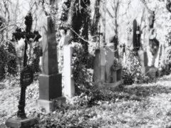 Friedhof Prag 7