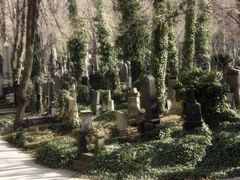 Friedhof Prag 8
