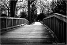 Friedhof Riensberg in Bremen 10 by Thomas Hammerschmidt 