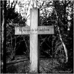 Friedhof Riensberg in Bremen 20