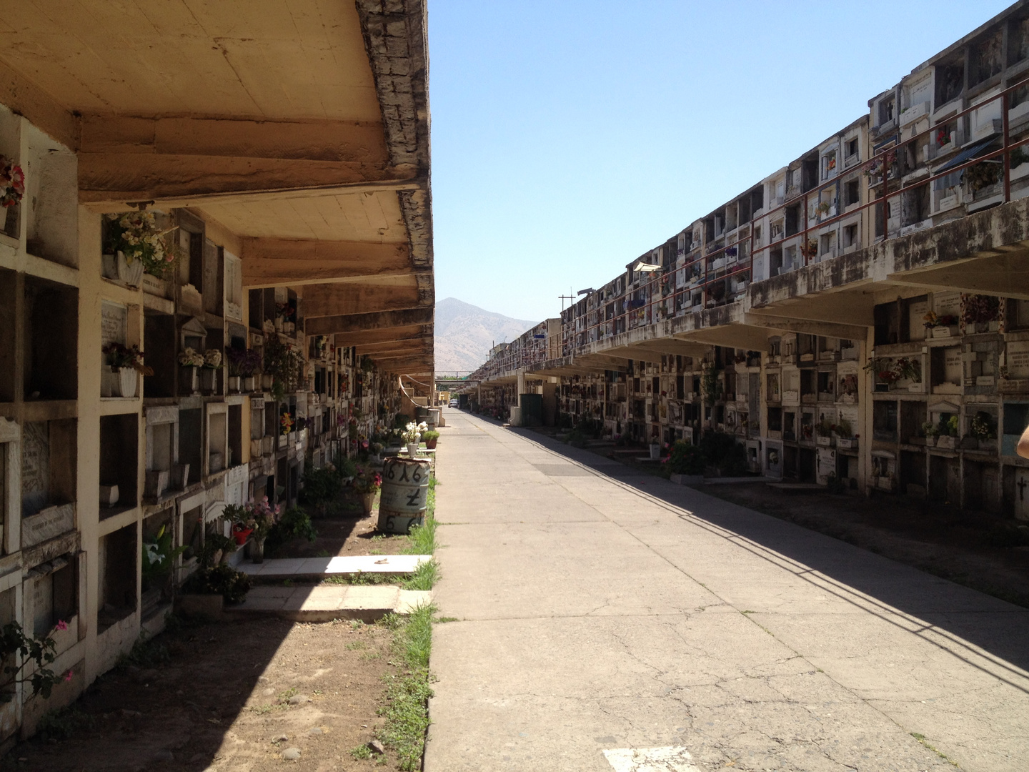 Friedhof Santiago