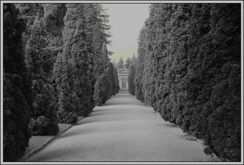 Friedhof Sihlfeld