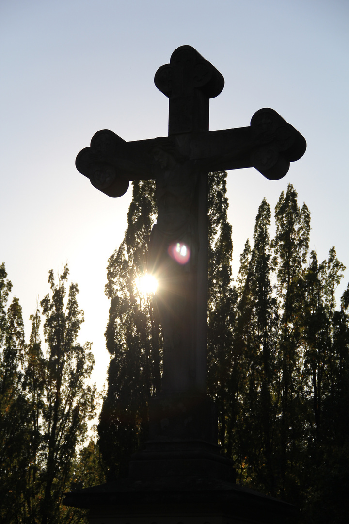 Friedhof Speyer 2