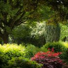 Friedhof St. Bernhardt Esslingen