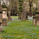 Friedhof St. Magni, Braunschweig