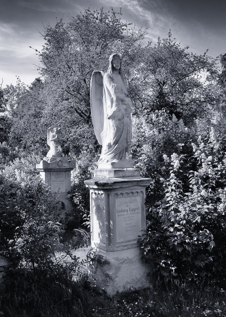 Friedhof St. Mark-Wien