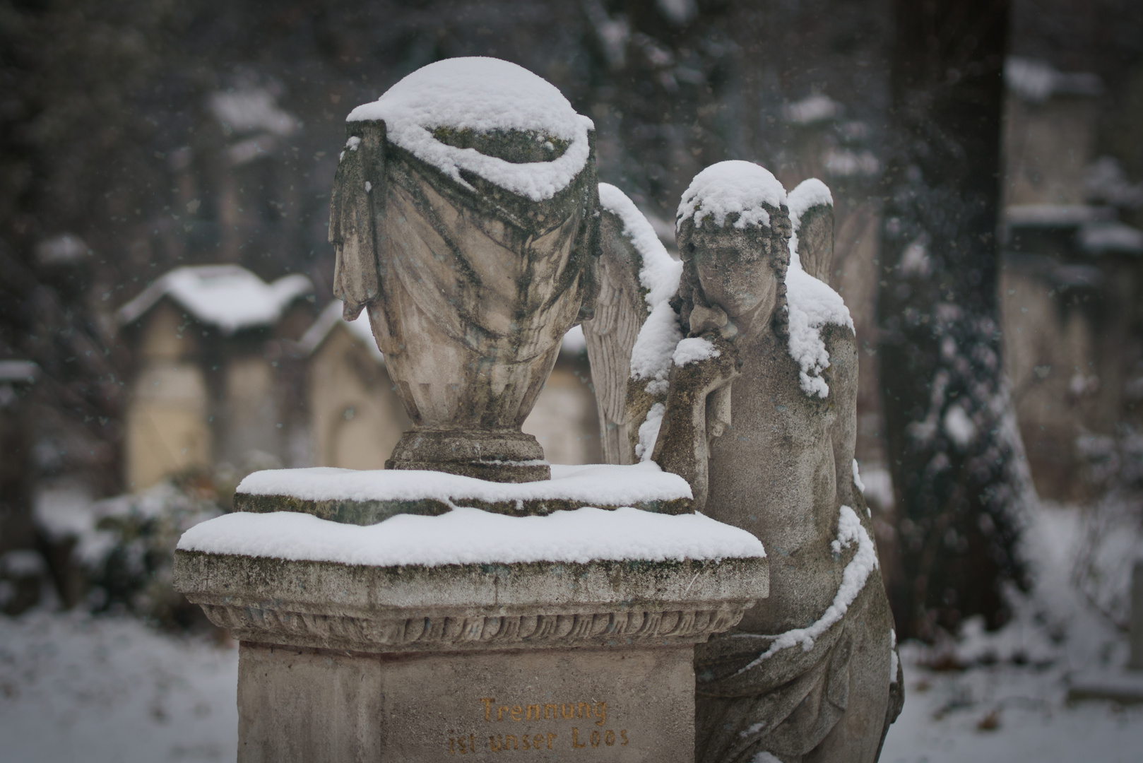 Friedhof St. Marx