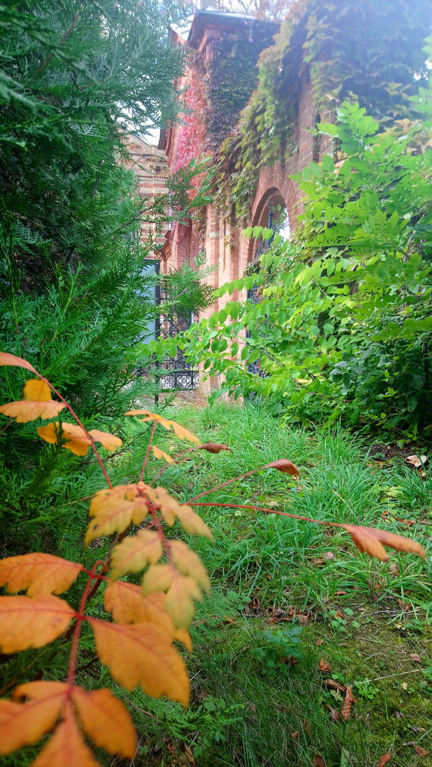 Friedhof St. Marx, Wien