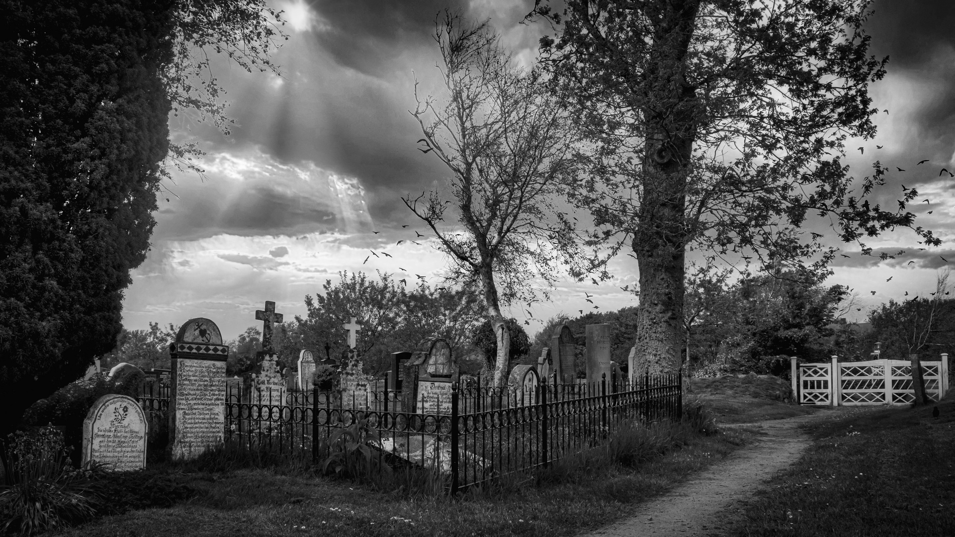 Friedhof Süderende auf Föhr