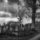 Friedhof Süderende auf Föhr