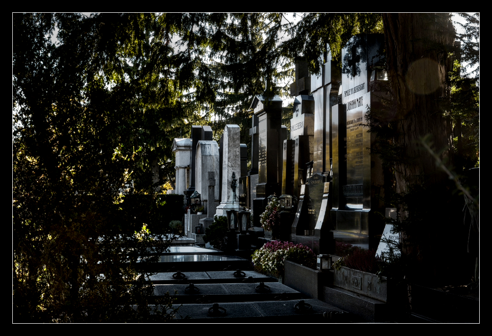 Friedhof V