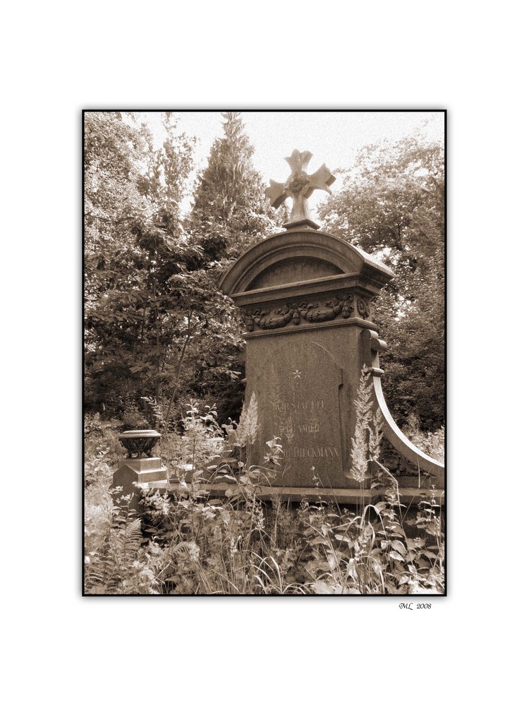 Friedhof VI