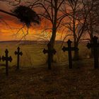 Friedhof Vilmnitz auf Rügen