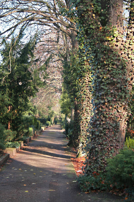 Friedhof Weimar