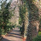 Friedhof Weimar