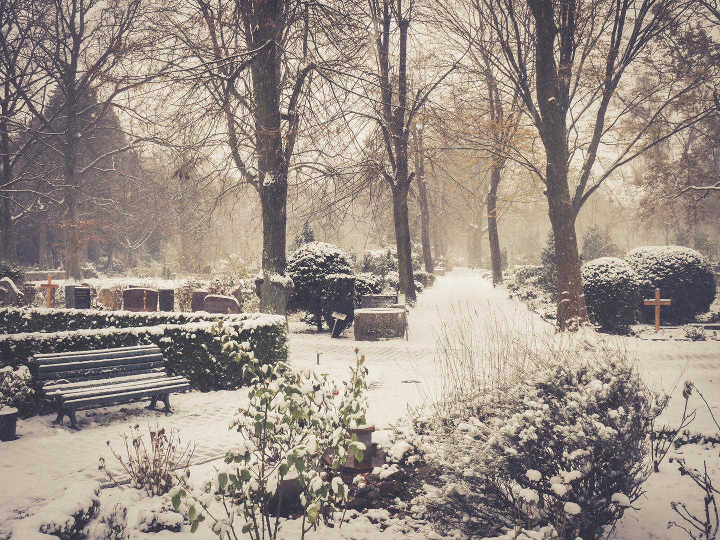 Friedhof-Wilmersdorf