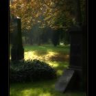 Friedhofidylle
