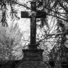 Friedhofs-Impressionen