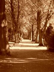 Friedhofsallee (Sepia)