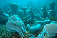 Friedhofsatmosphäre