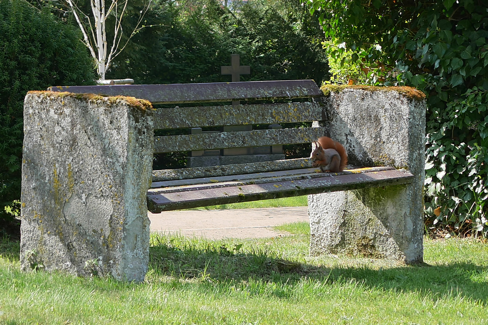 Friedhofsbank mit Eichhörnchen das sich eine Walnuss einverleibt...