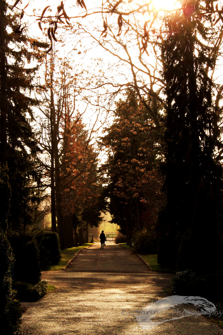 Friedhofsbesuch