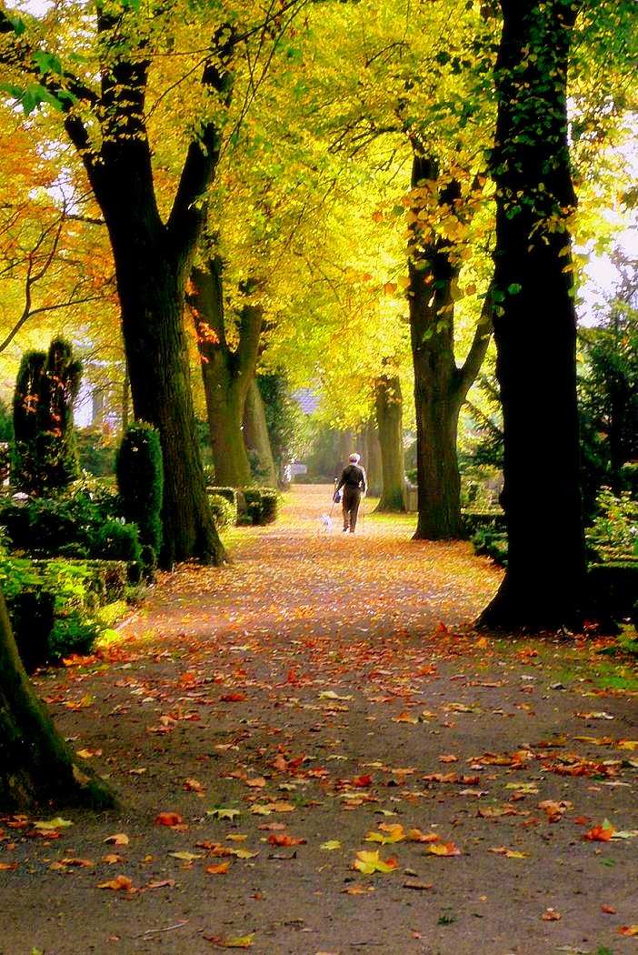 Friedhofsbesuch mit Hund