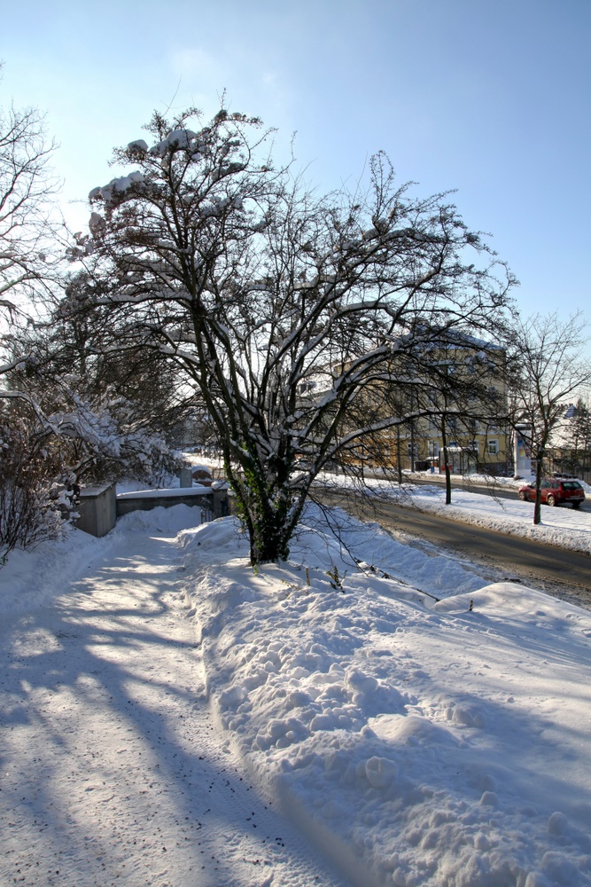 Friedhofseingang