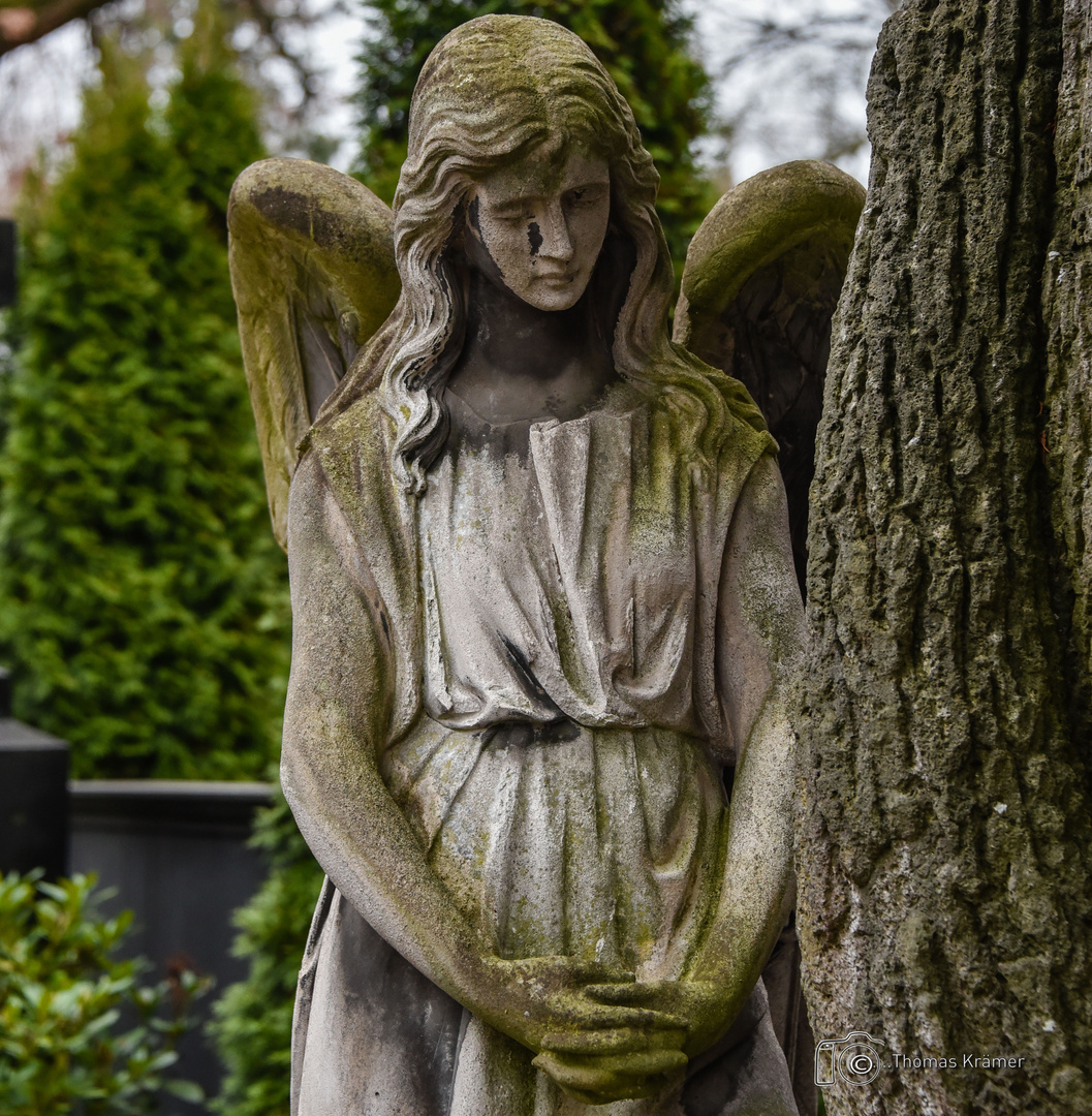 Friedhofsengel D75_2837