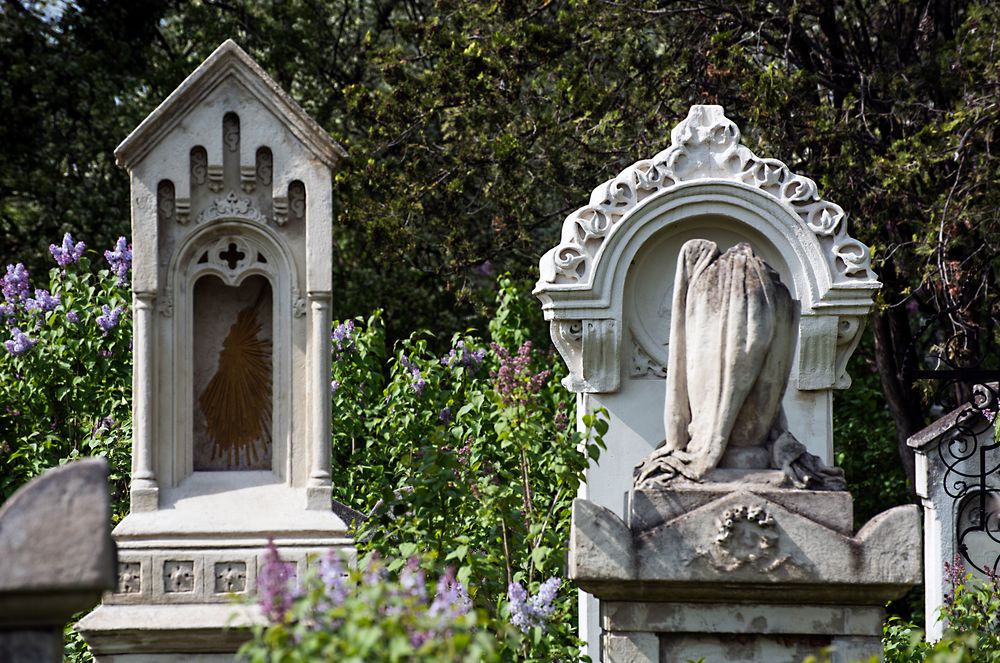 friedhofsfrühling