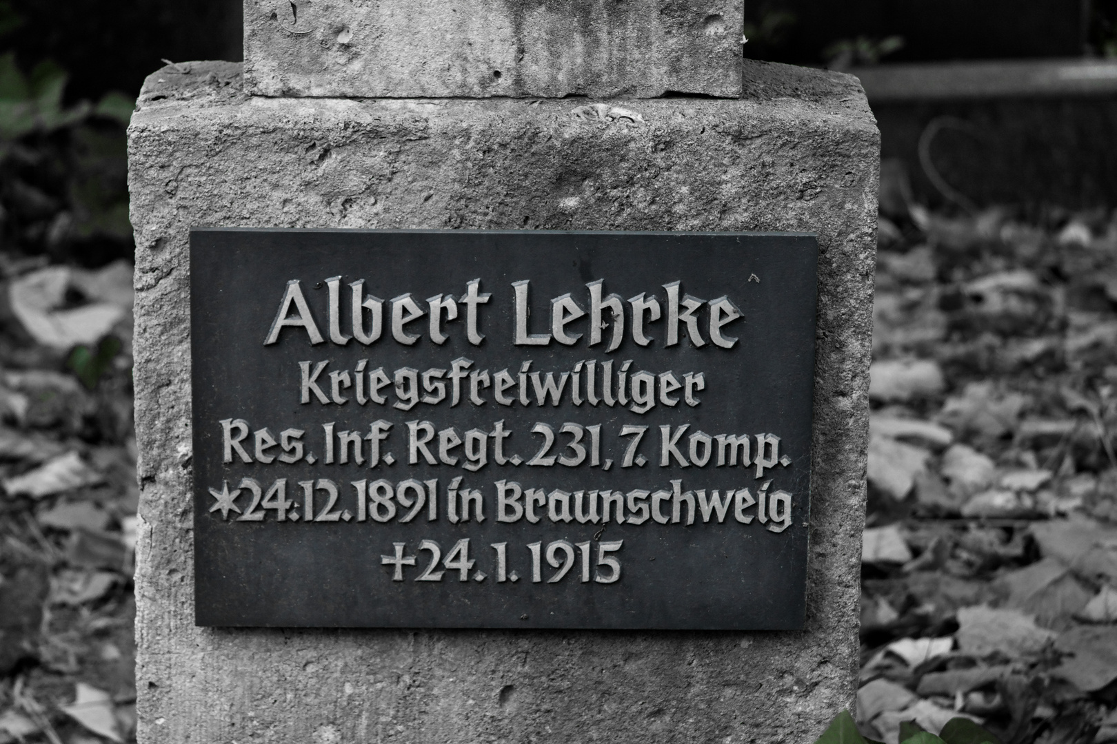 Friedhofsimpressionen - freiwliig in den Tod