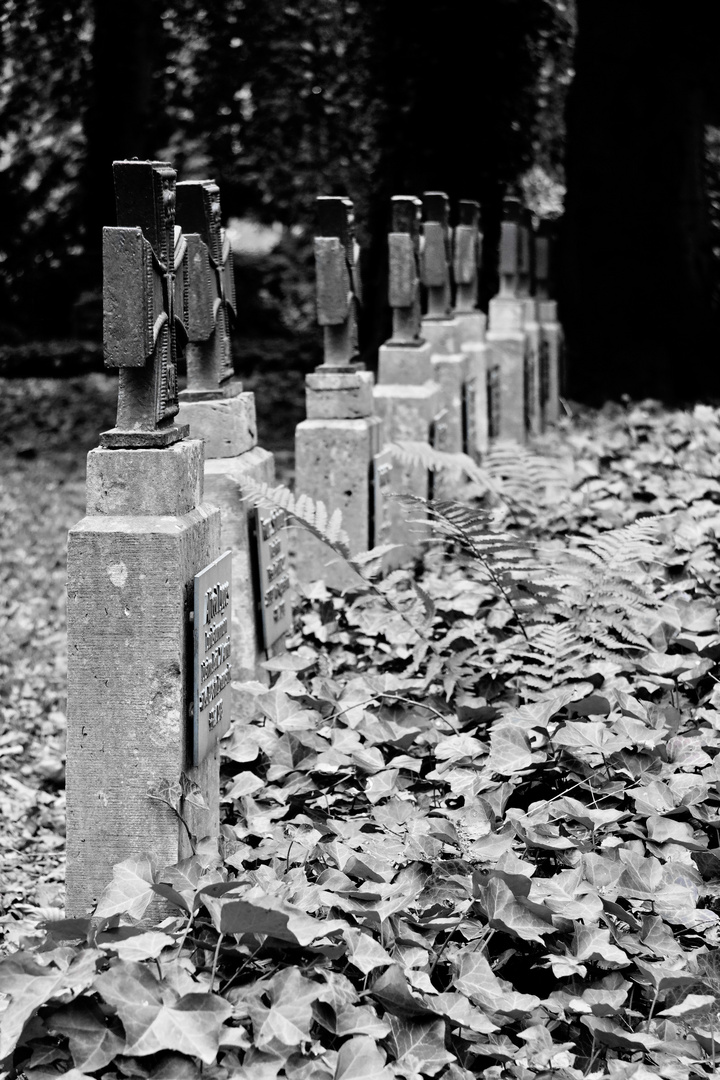 Friedhofsimpressionen - in Reih' und Glied