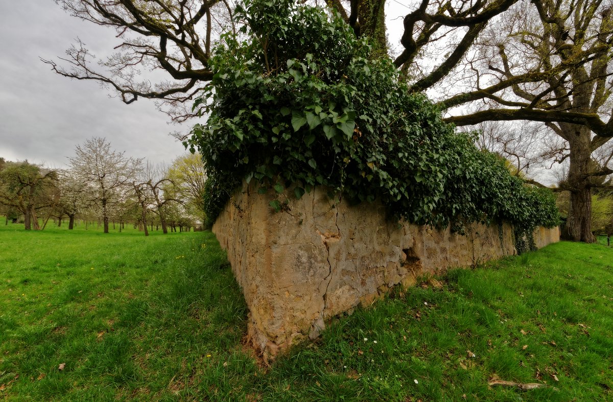 Friedhofsmauer