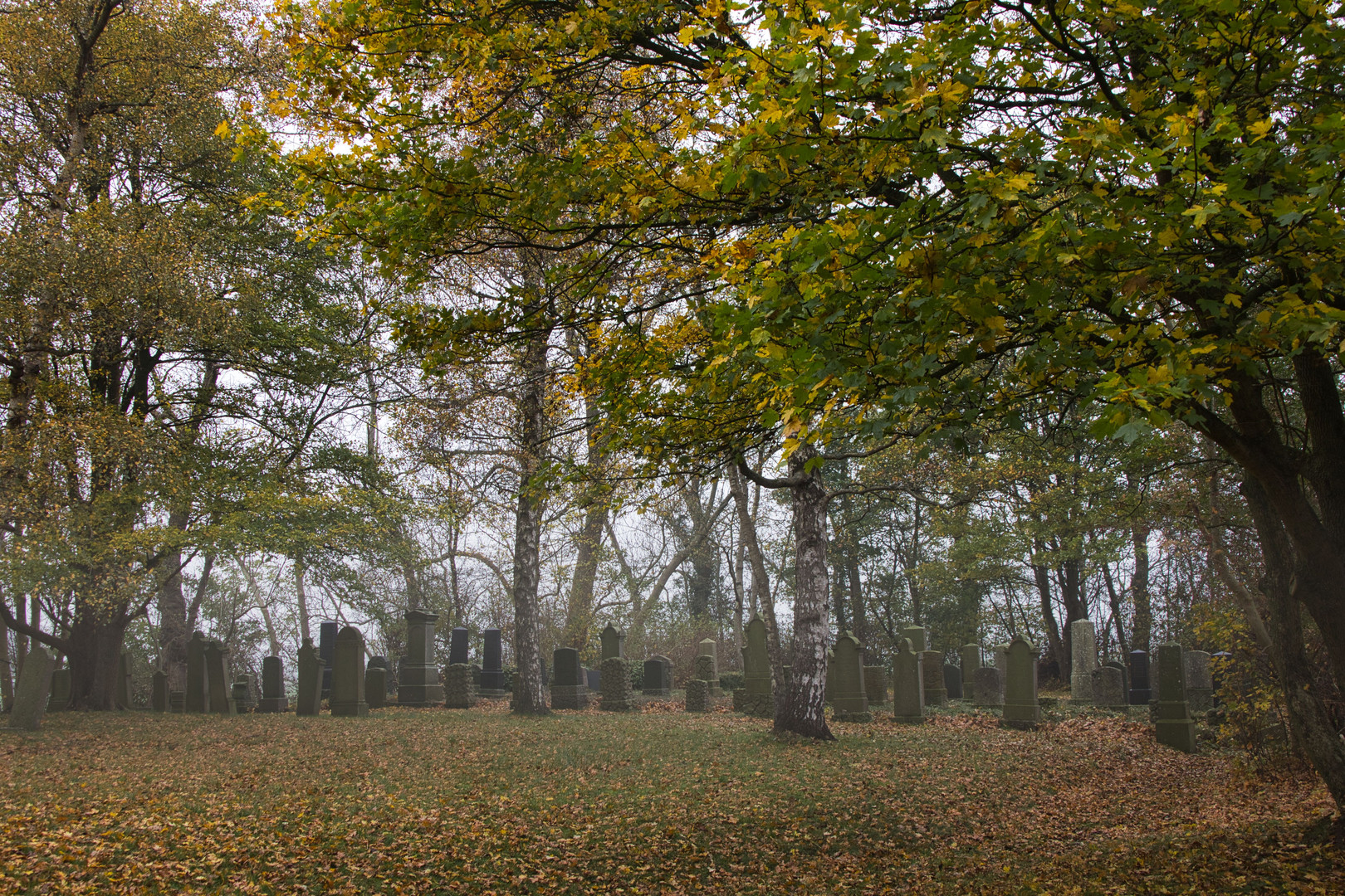  Friedhofsruhe im Morgennebel.