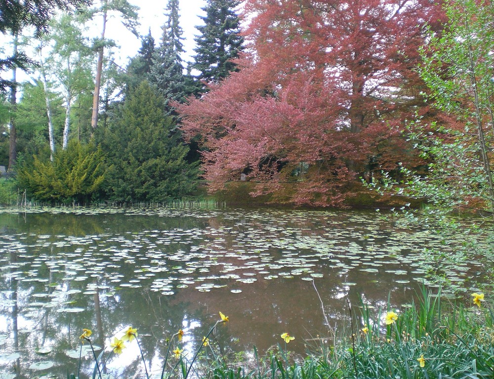 Friedhofssee