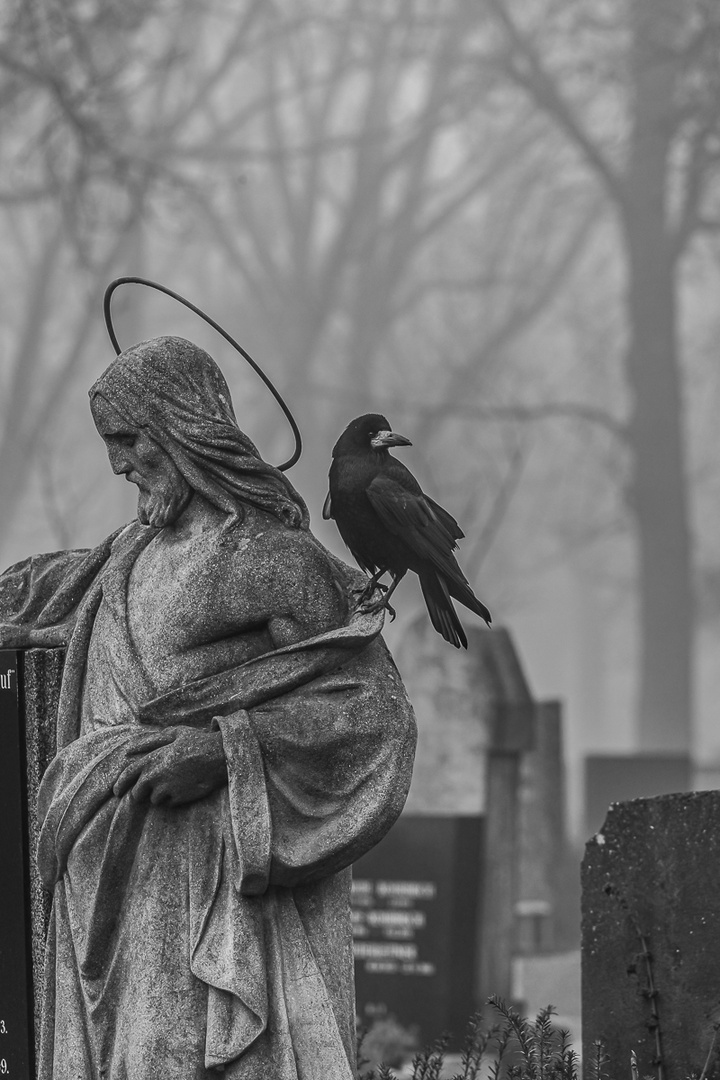 Friedhofstimmung mit Nebel