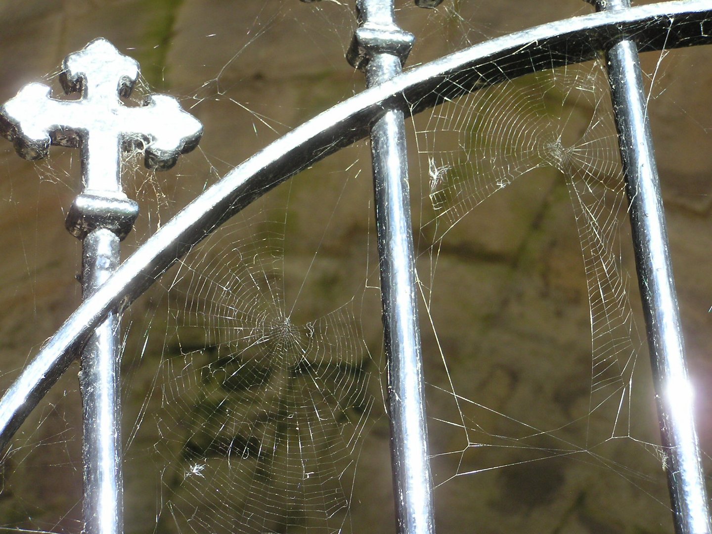 Friedhofstor mit Spinnennetz - Schottland