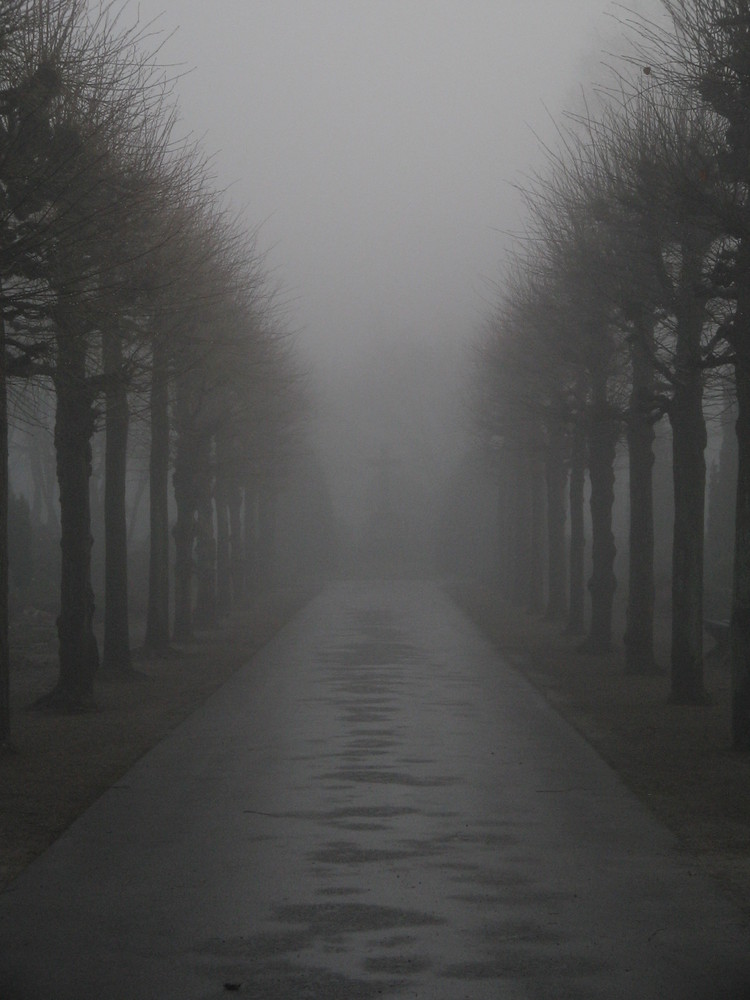 Friedhofsweg im Nebel