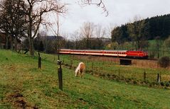 Friedlich aasen auf dem grünen Rasen