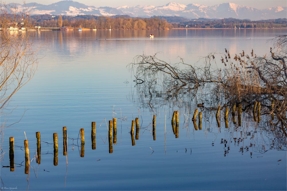 Friedlich lag der Greifensee da