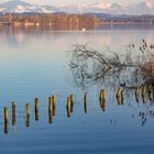 Friedlich lag der Greifensee da