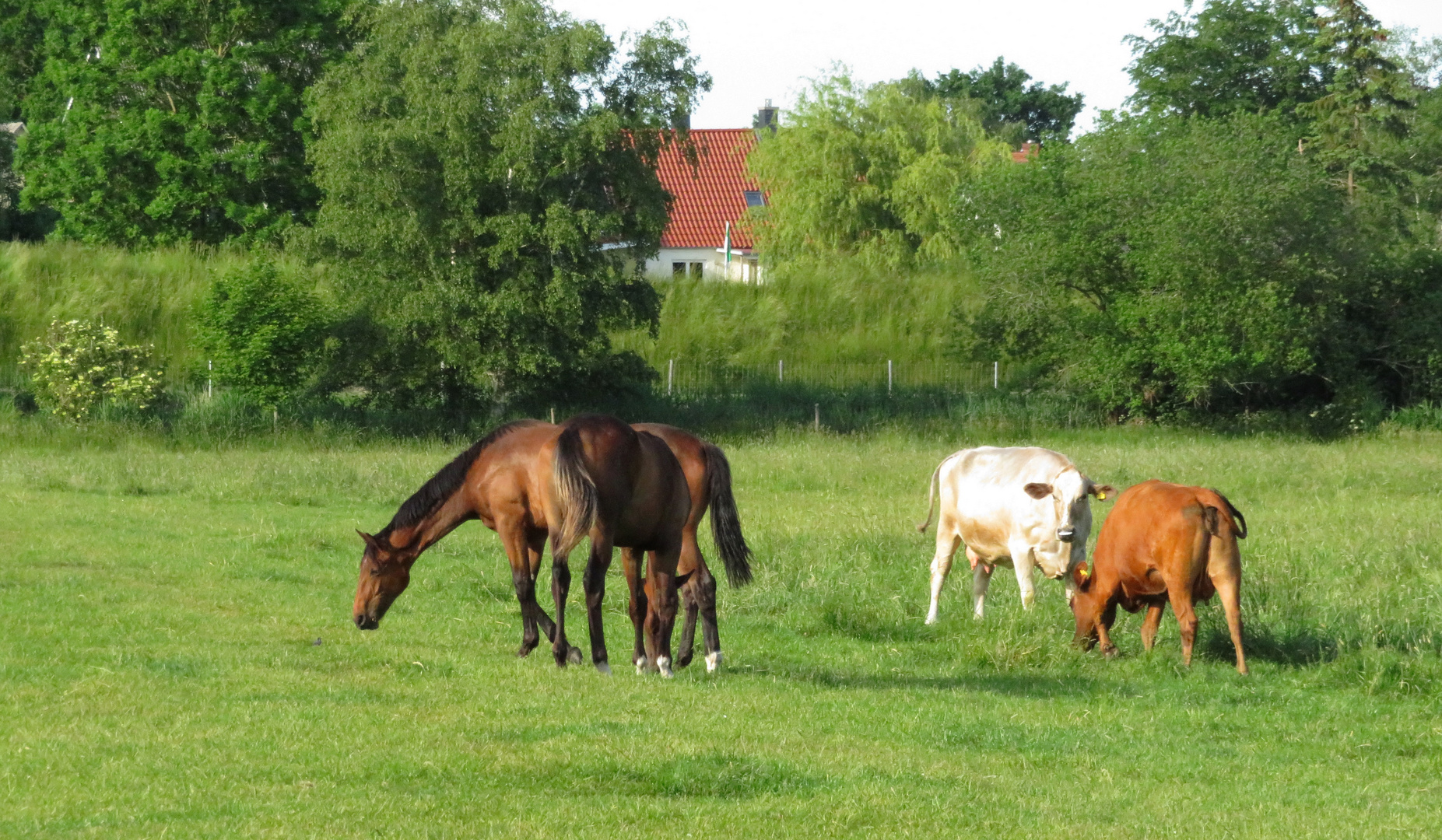 friedlich zusammen ...