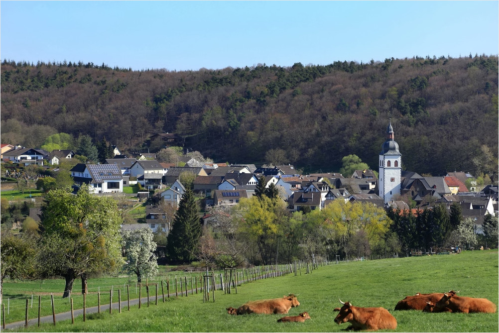 Friedliche Ahr-Eifel Idylle!