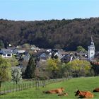 Friedliche Ahr-Eifel Idylle!