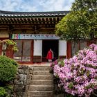 Friedliche Atmosphäre im Seonamsa Tempel