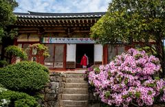 Friedliche Atmosphäre im Seonamsa Tempel
