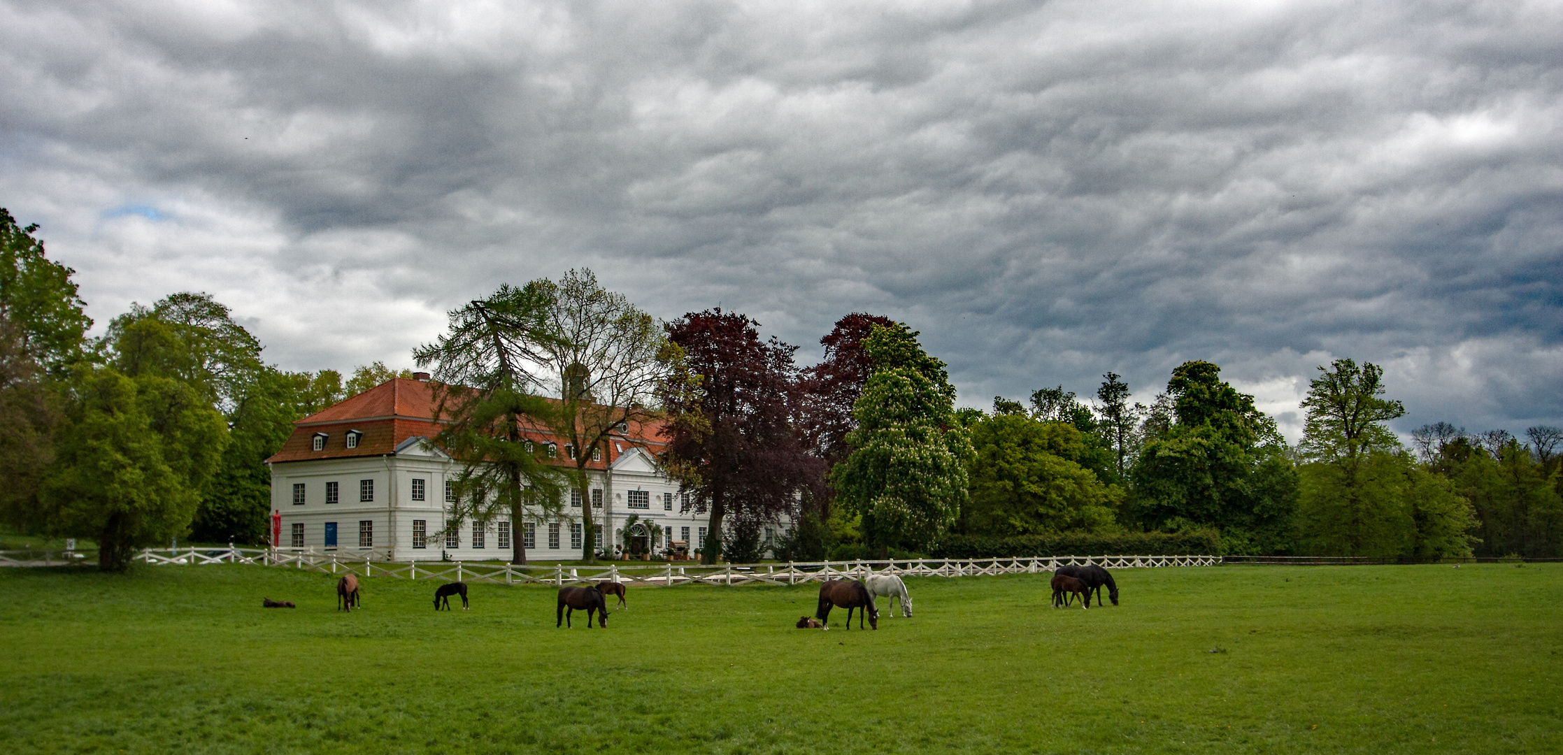 Friedliche Idylle