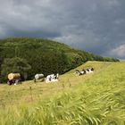 Friedliche Idylle im Weserbergland